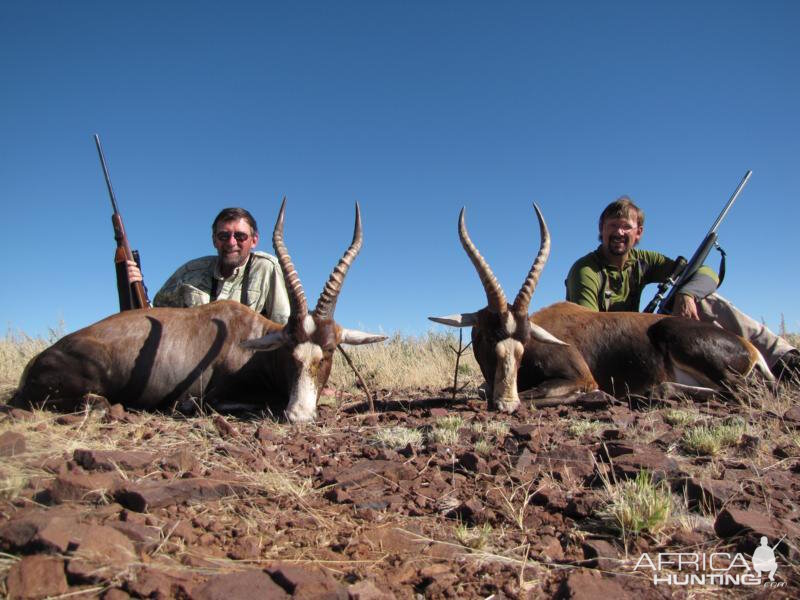 Nambia Hunting Blesbok & Bontebok