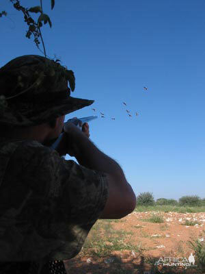 Namibia Bird Hunting