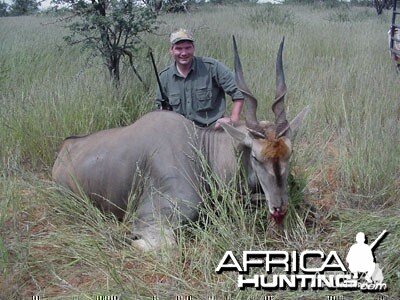 Namibia - Eland