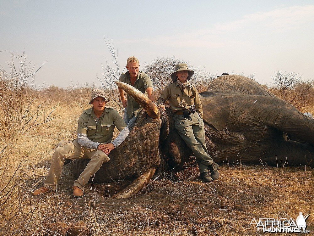 Namibia' Elephant - 1