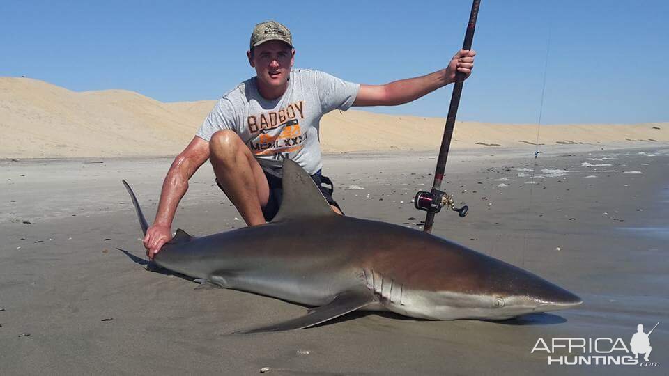 Namibia Fishing Bronze Whaler Shark