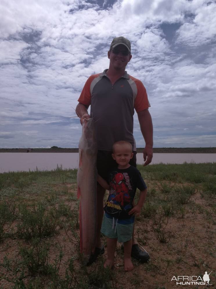 Namibia Fishing Freshwater Catfish