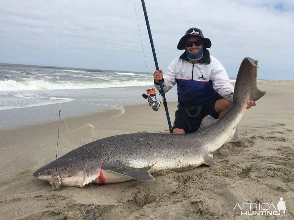 Namibia Fishing  Spotted Gully shark