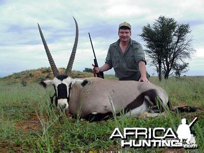 Namibia - Gemsbok 40" Male