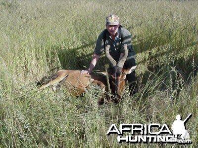 Namibia - Hartebeest