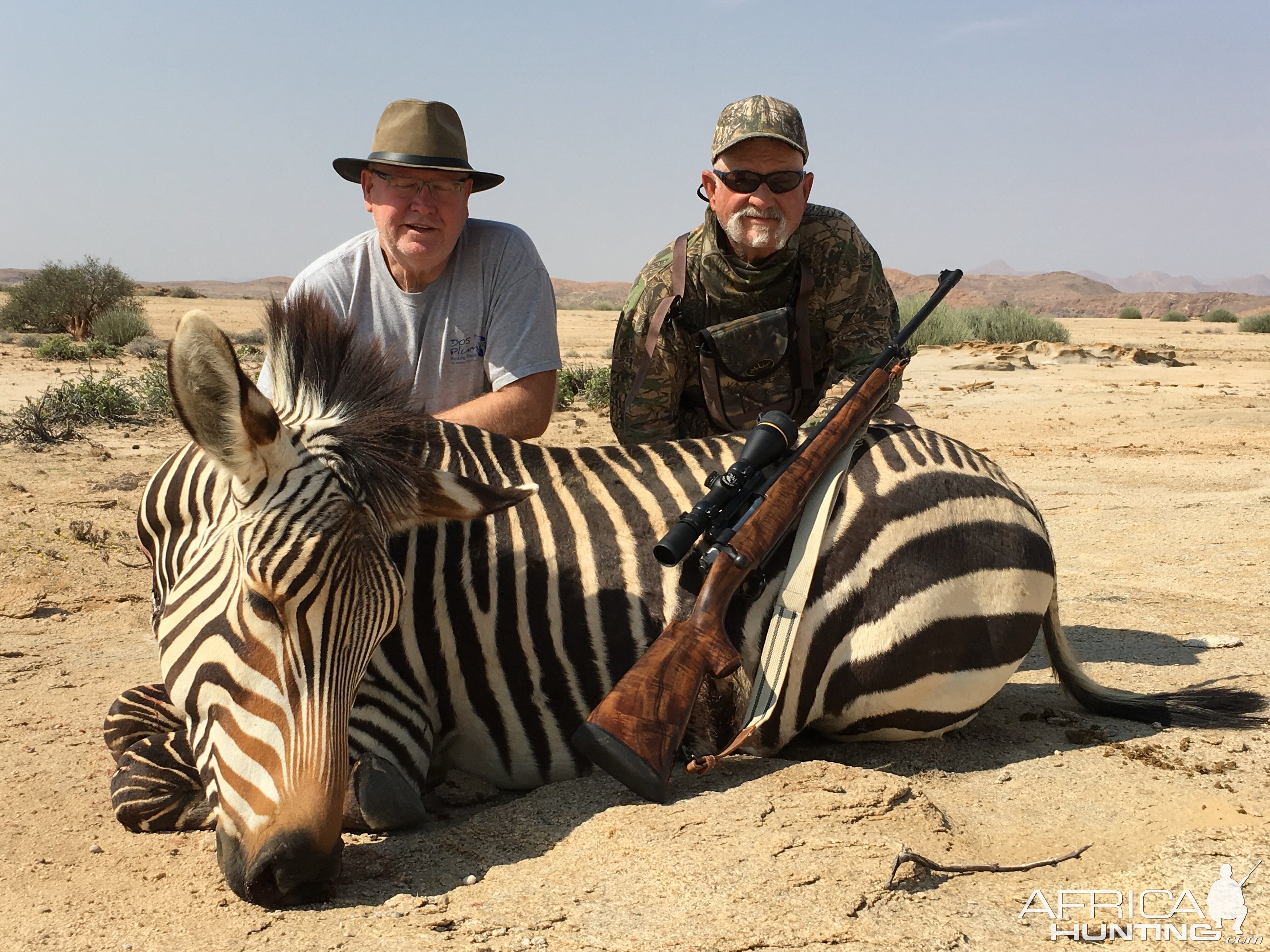 Namibia Hartmann's Mountain Zebra