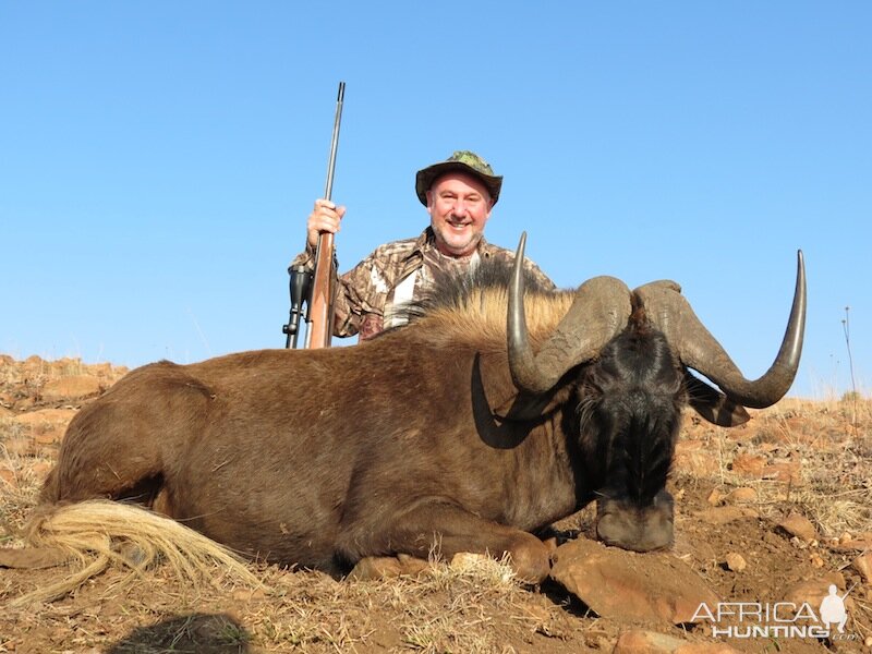 Namibia Hunt Black Wildebeest