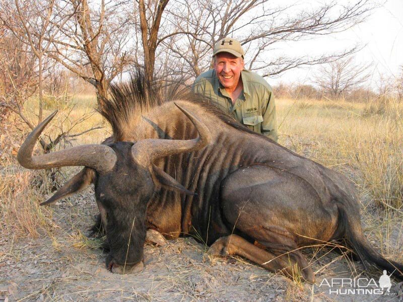 Namibia Hunt Blue Wildebeest