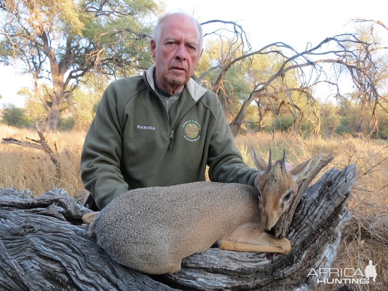 Namibia Hunt Damara Dik Dik