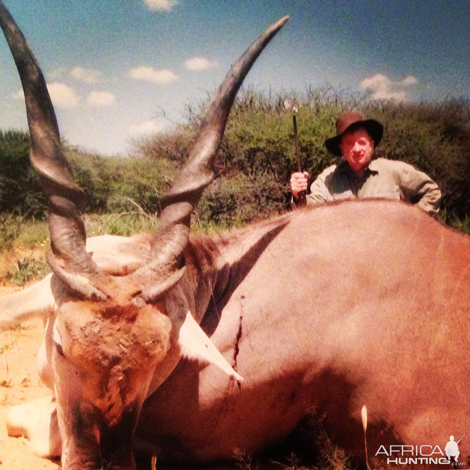 Namibia Hunt Eland