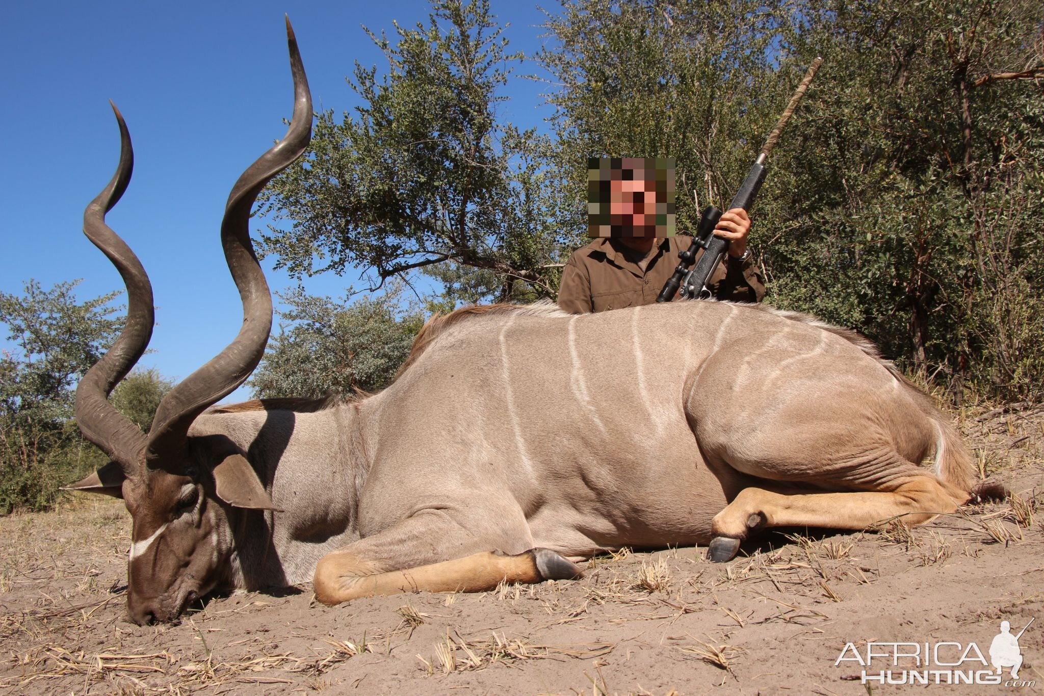 Namibia Hunt Kudu