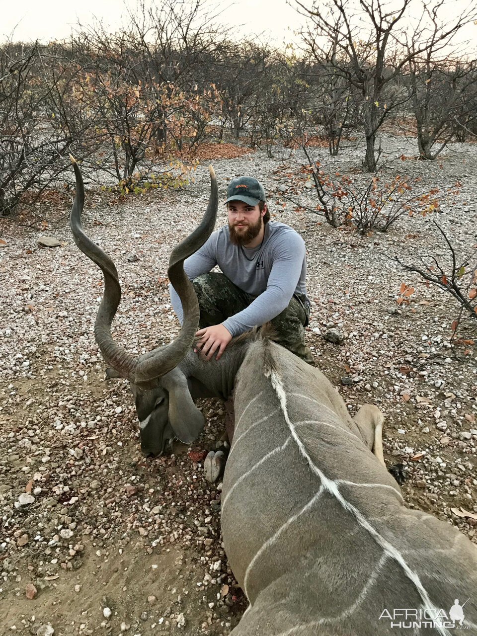 Namibia Hunt Kudu