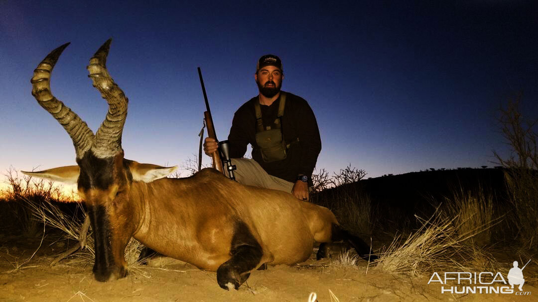 Namibia Hunt Red Hartebeest