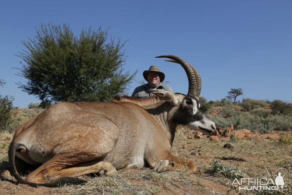 Namibia Hunt Roan