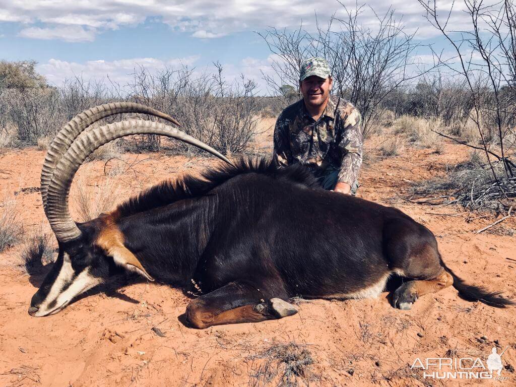 Namibia Hunt Sable Antelope