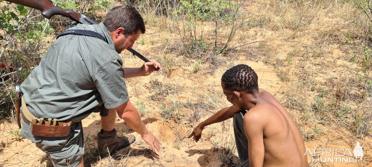 Namibia Hunt with Bushman's