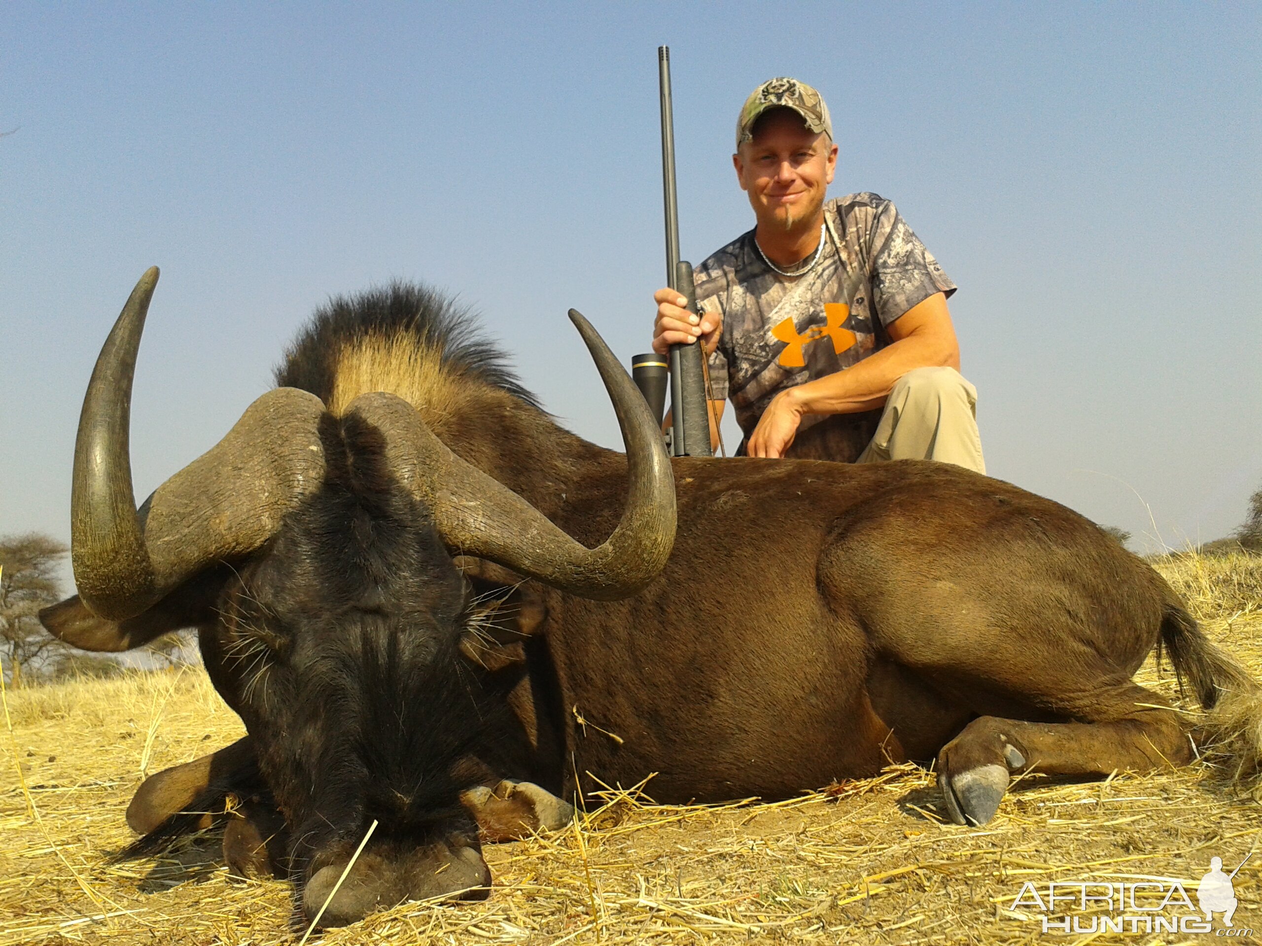 Namibia Hunting Black Wildebeest