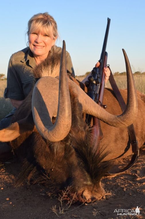 Namibia Hunting Black Wildebeest