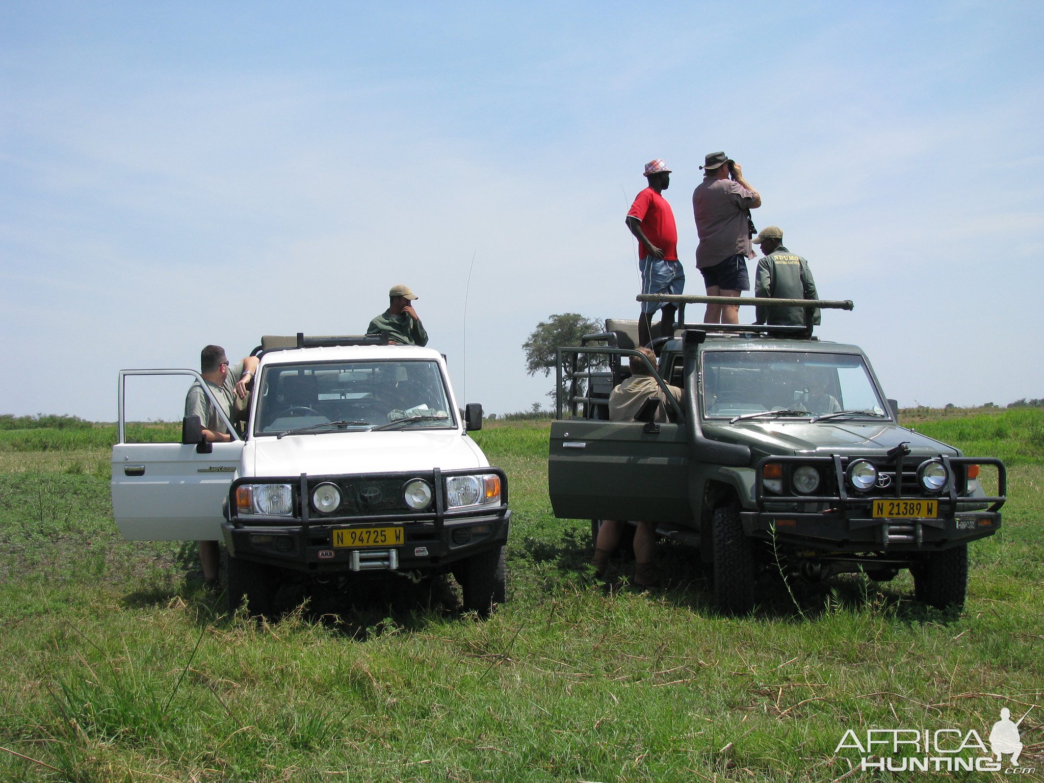 Namibia Hunting Cape Buffalo