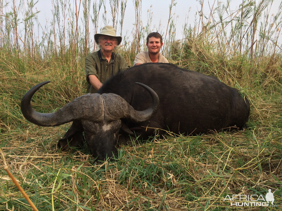 Namibia Hunting Cape Buffalo