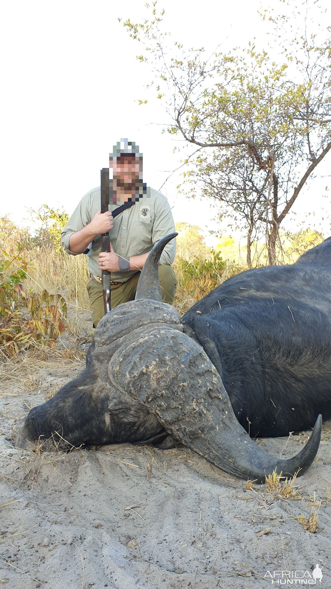 Namibia Hunting Cape Buffalo | AfricaHunting.com