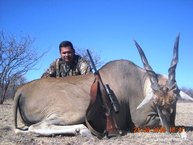 Namibia Hunting Eland