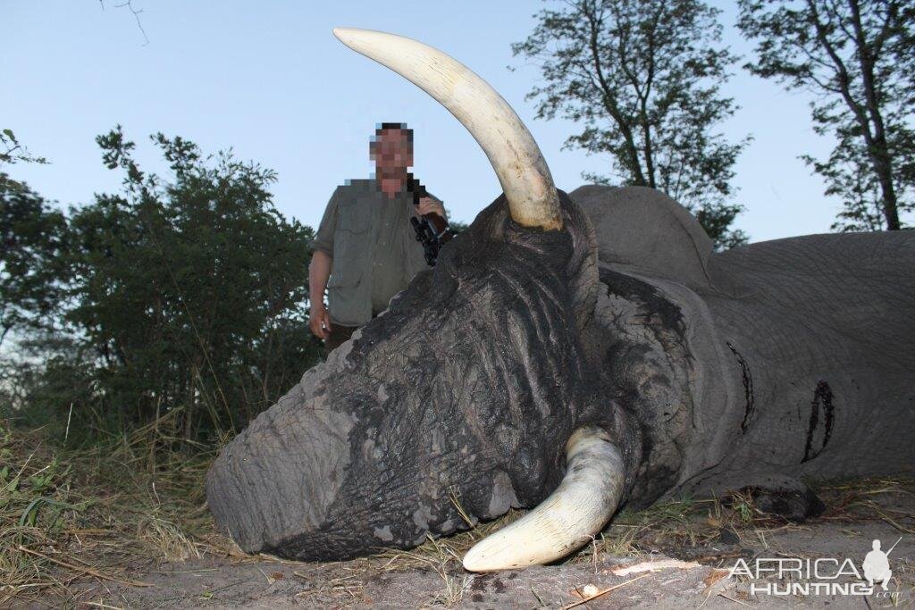 Namibia Hunting Elephant