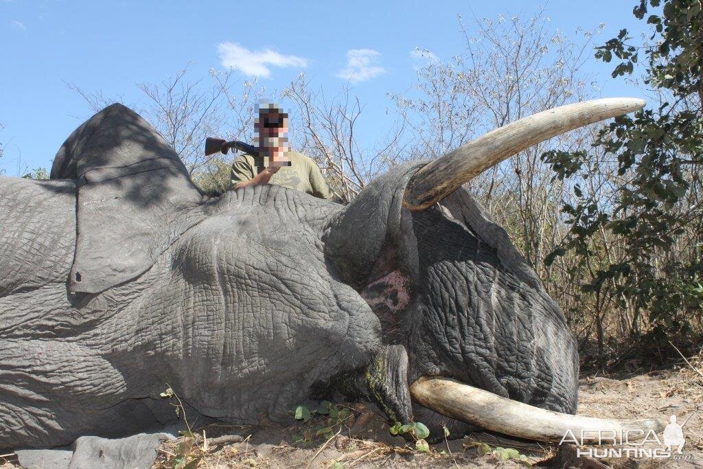 Namibia Hunting Elephant