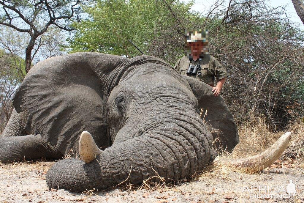 Namibia Hunting Elephant | AfricaHunting.com