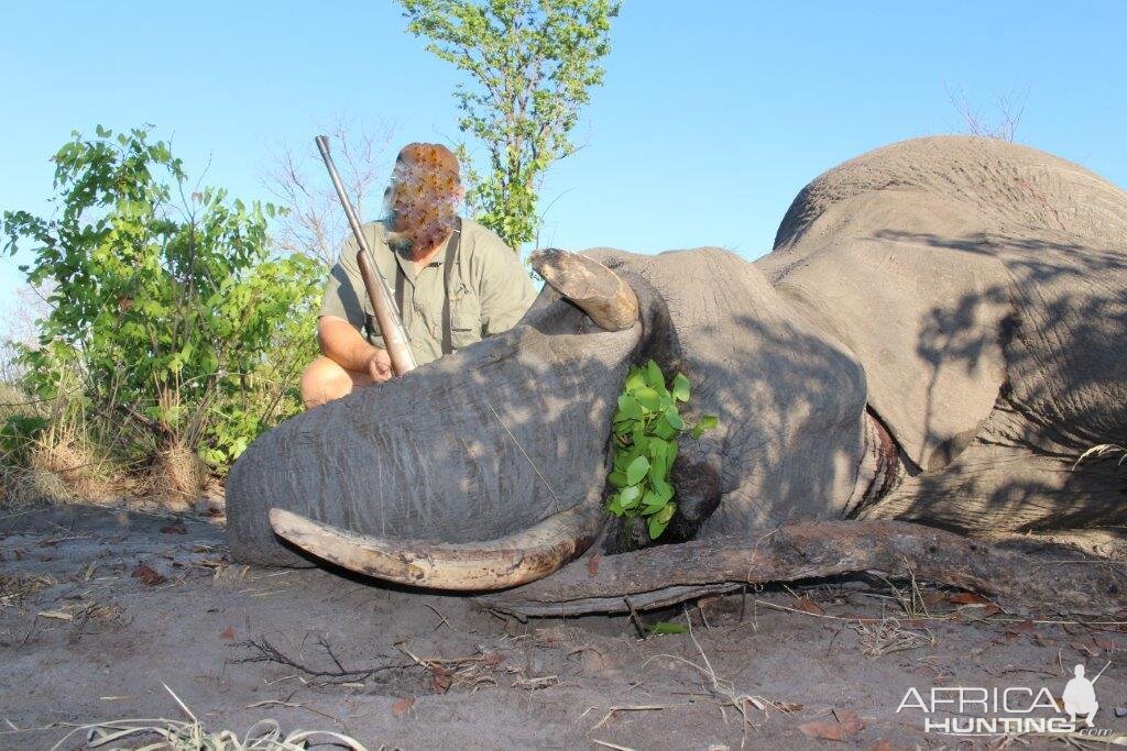 Namibia Hunting Elephant