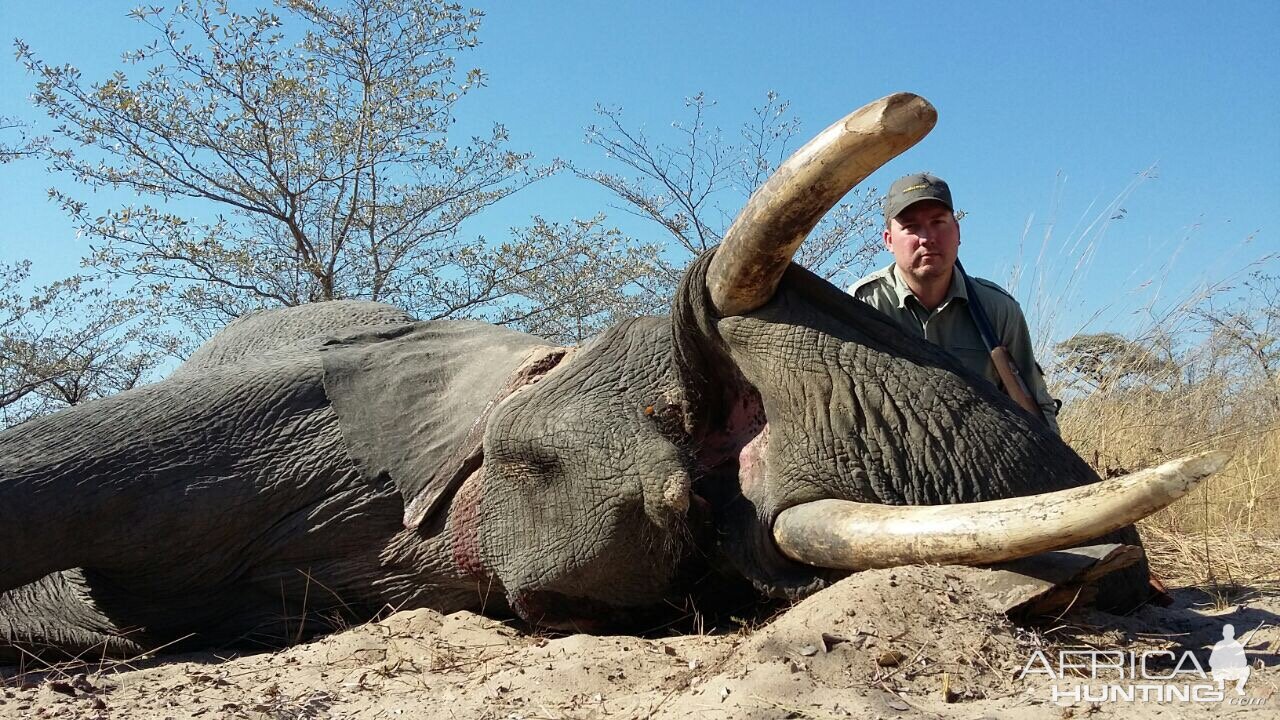 Namibia Hunting Elephant