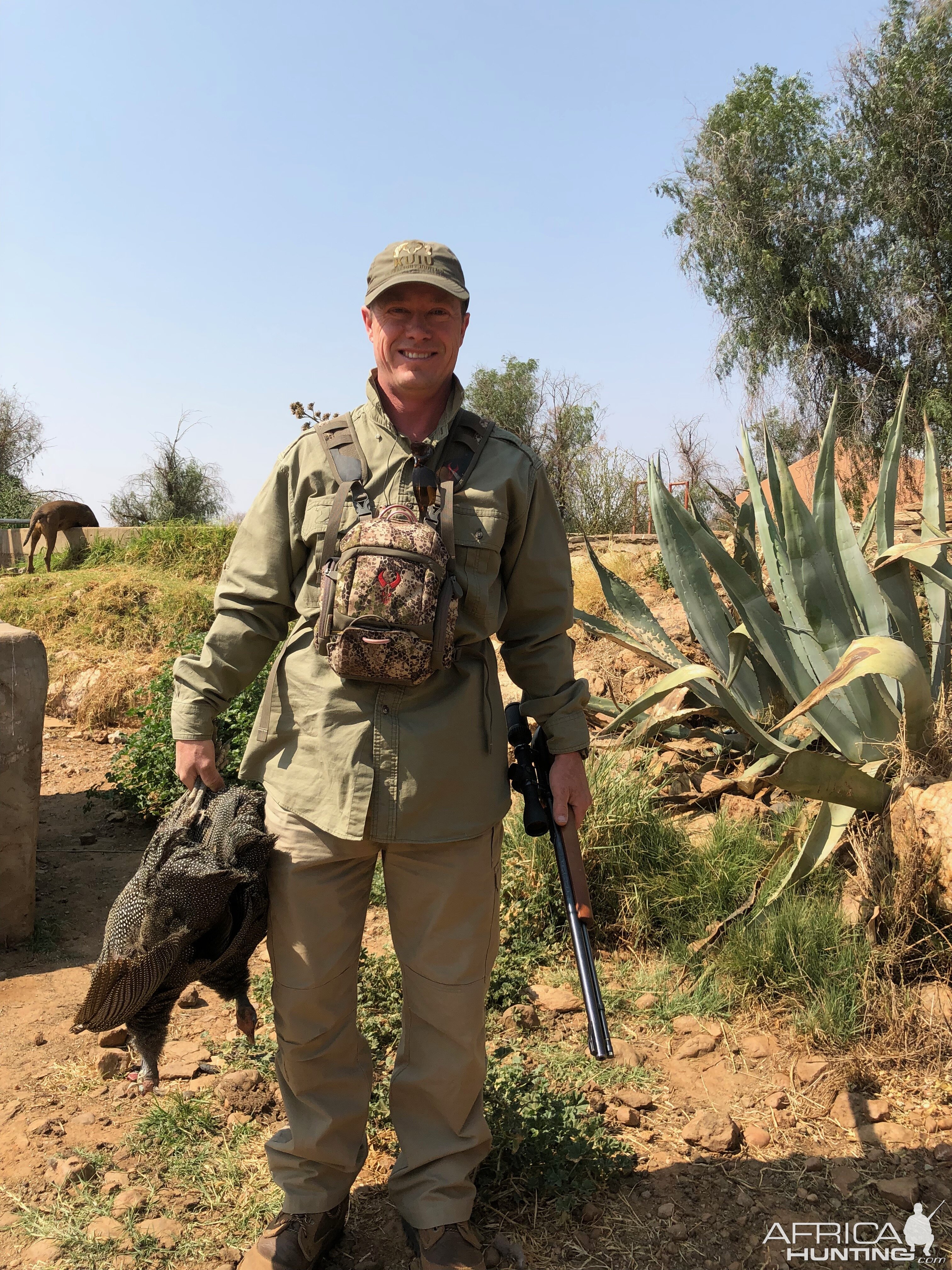 Namibia Hunting Guineafowl