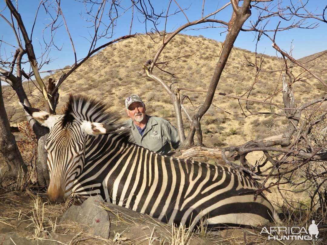 Namibia Hunting Hartmann's Mountain Zebra