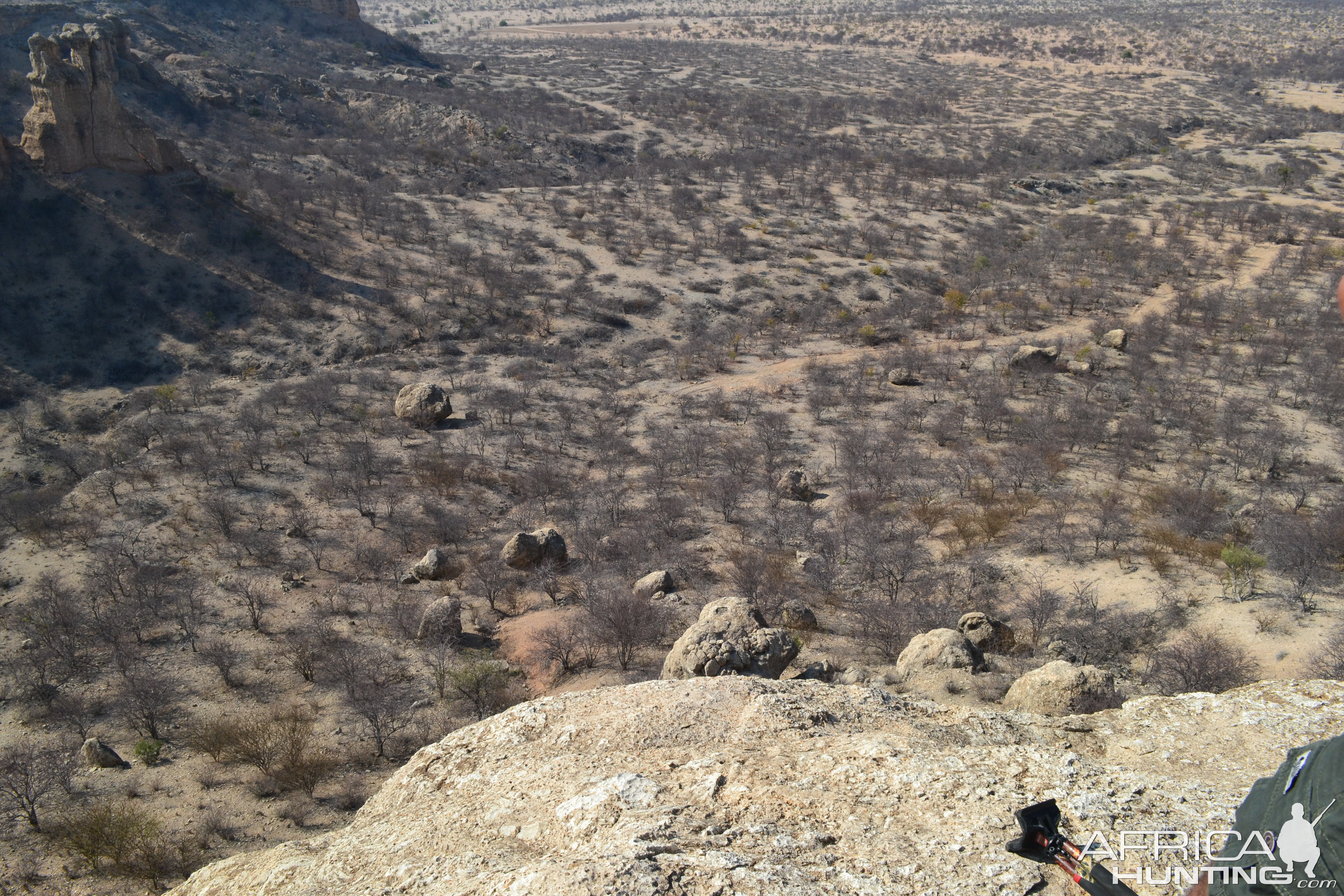 Namibia Hunting Klipspringer