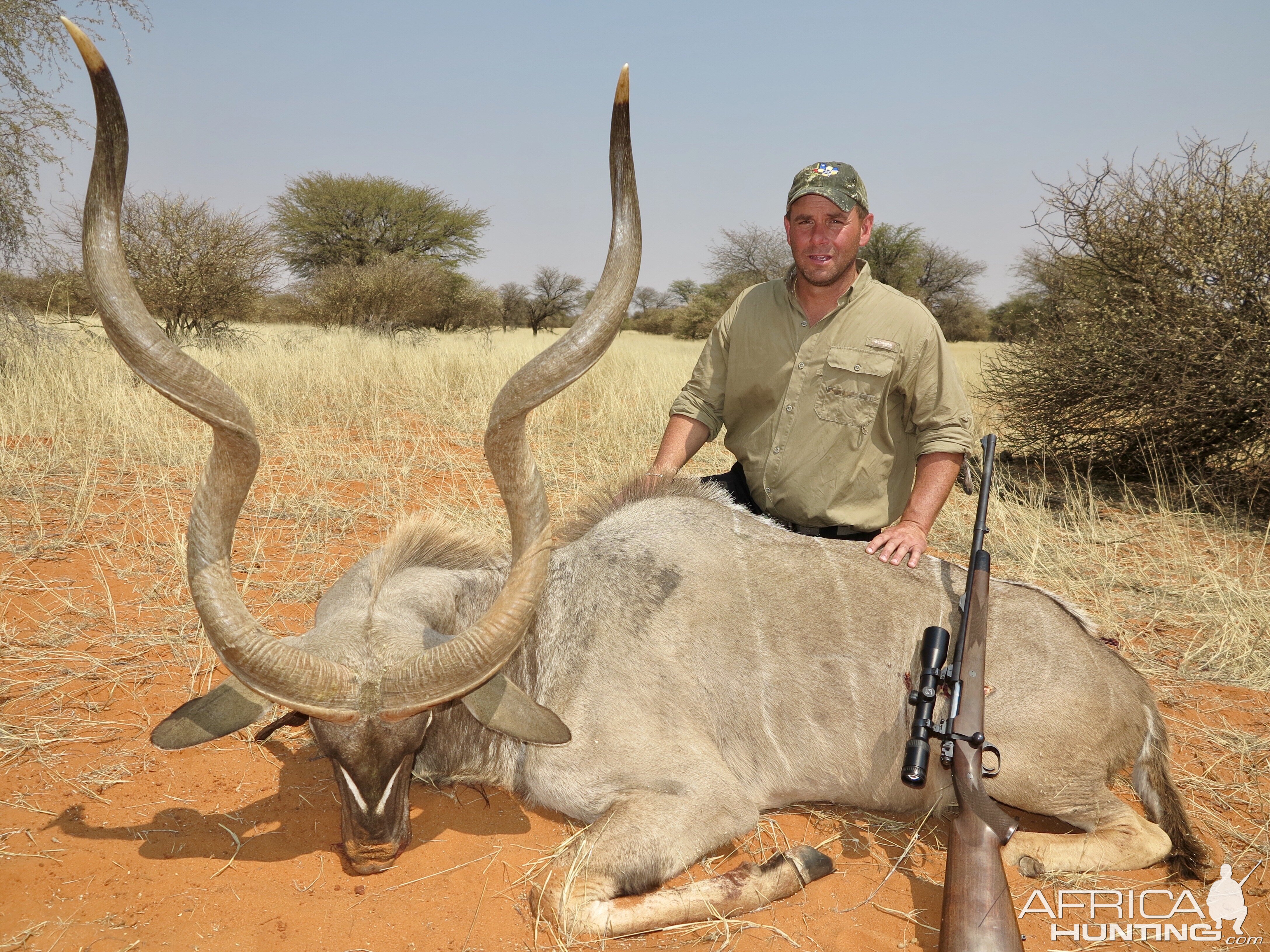 Namibia Hunting Kudu