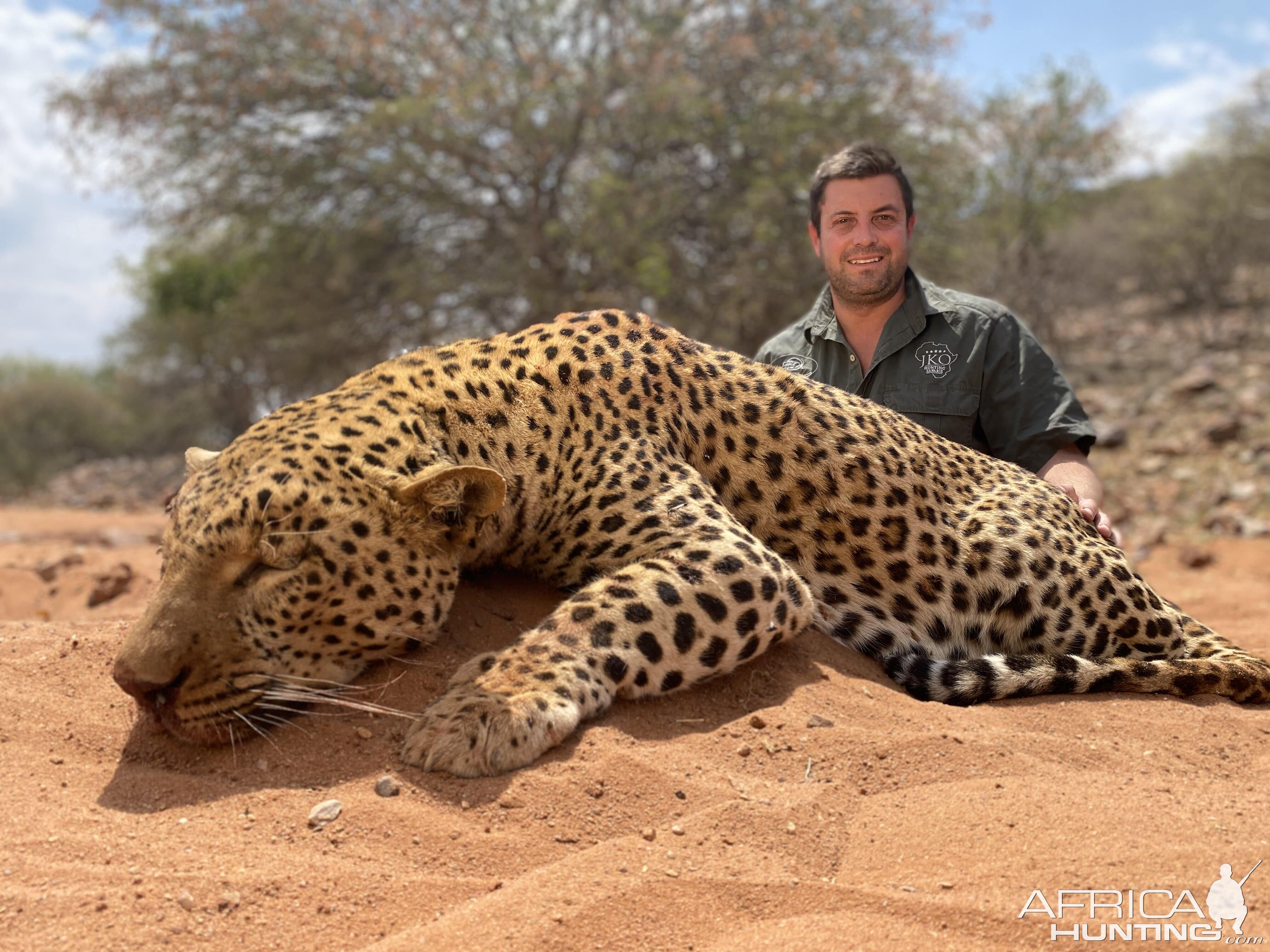 Namibia Hunting Leopard