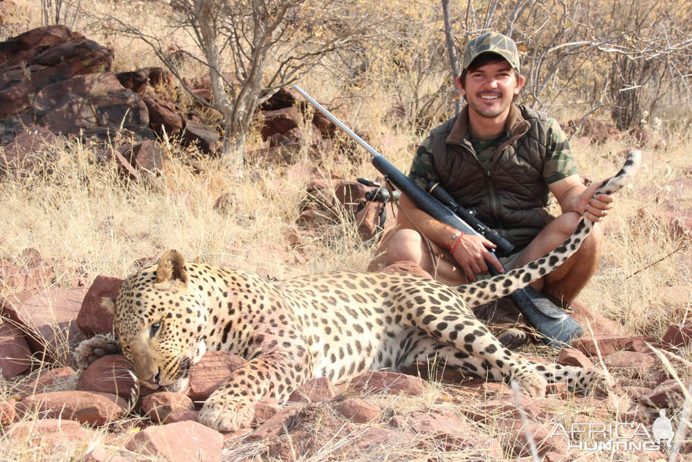 Namibia Hunting Leopard