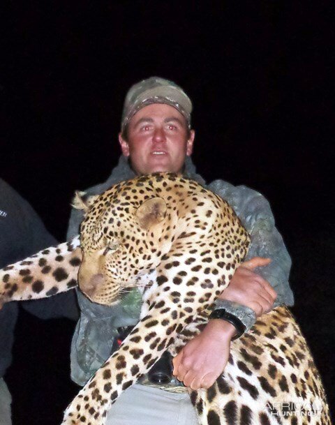 Namibia Hunting Leopard