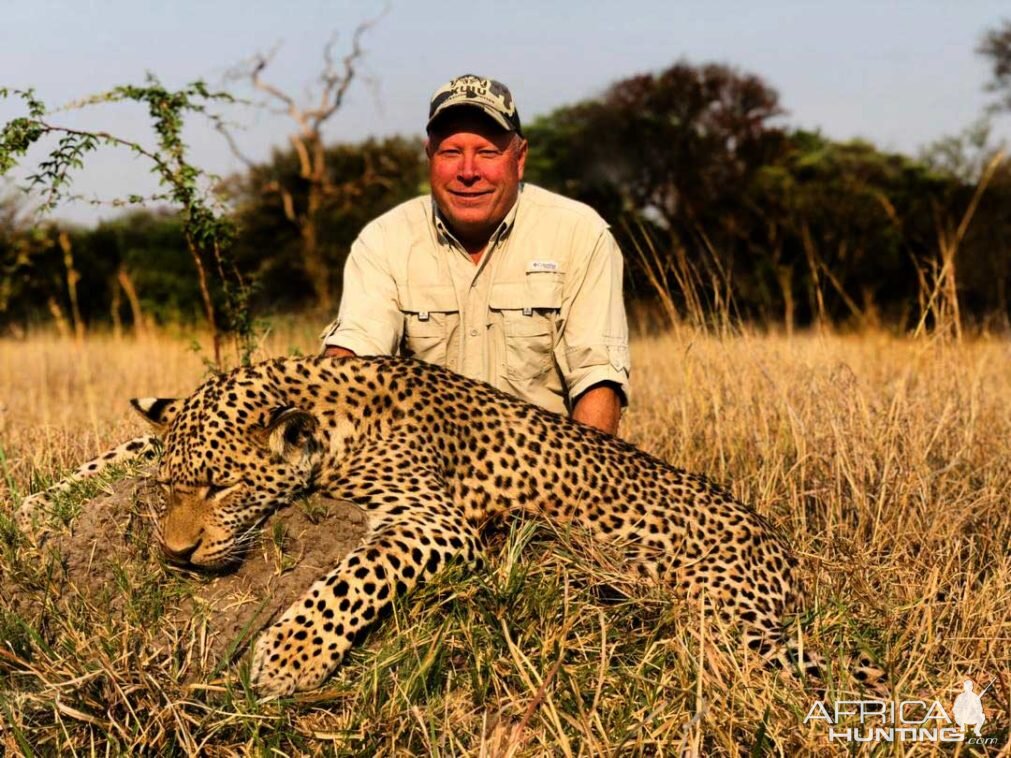 Namibia Hunting Leopard