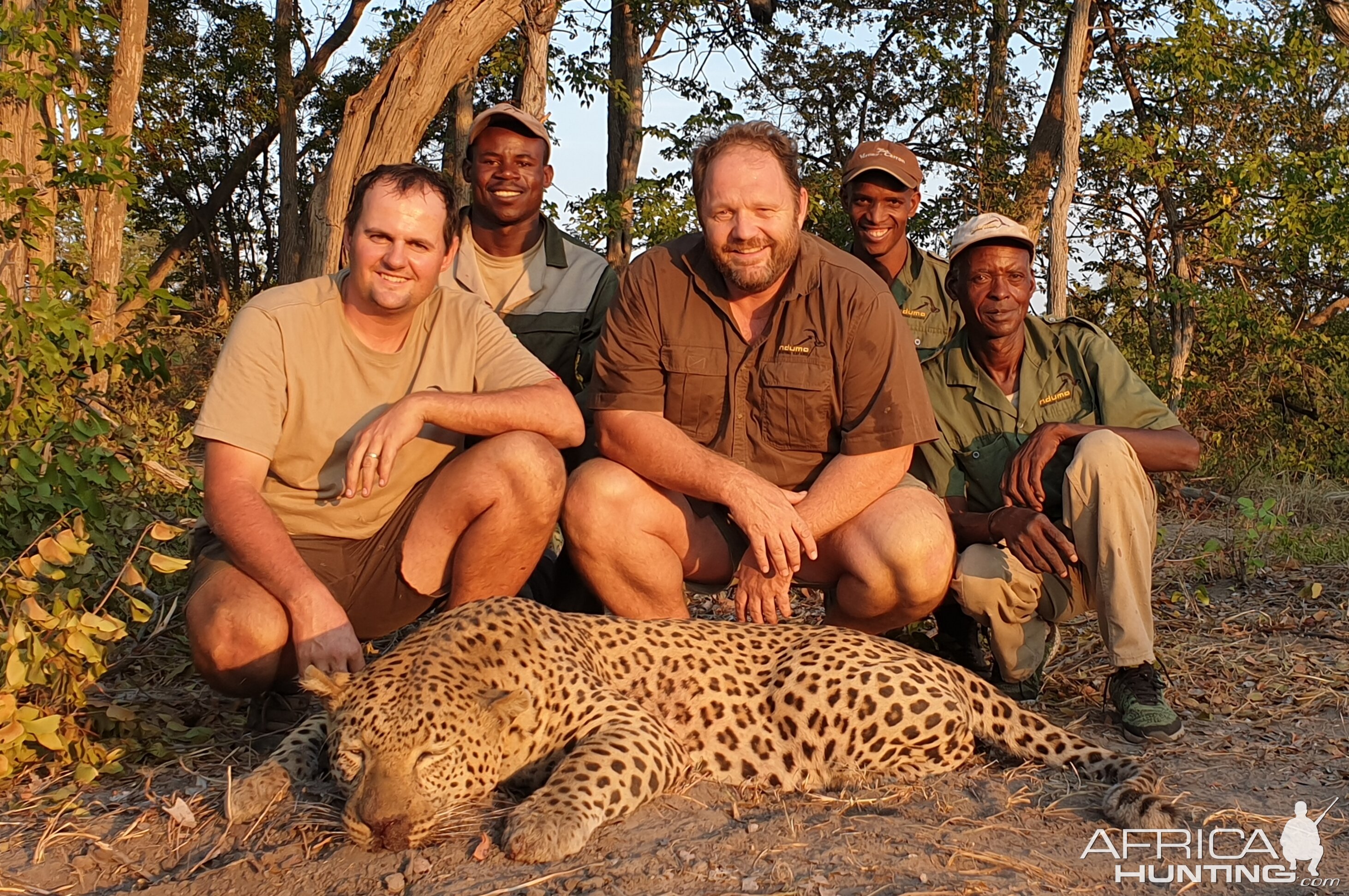 Namibia Hunting Leopard