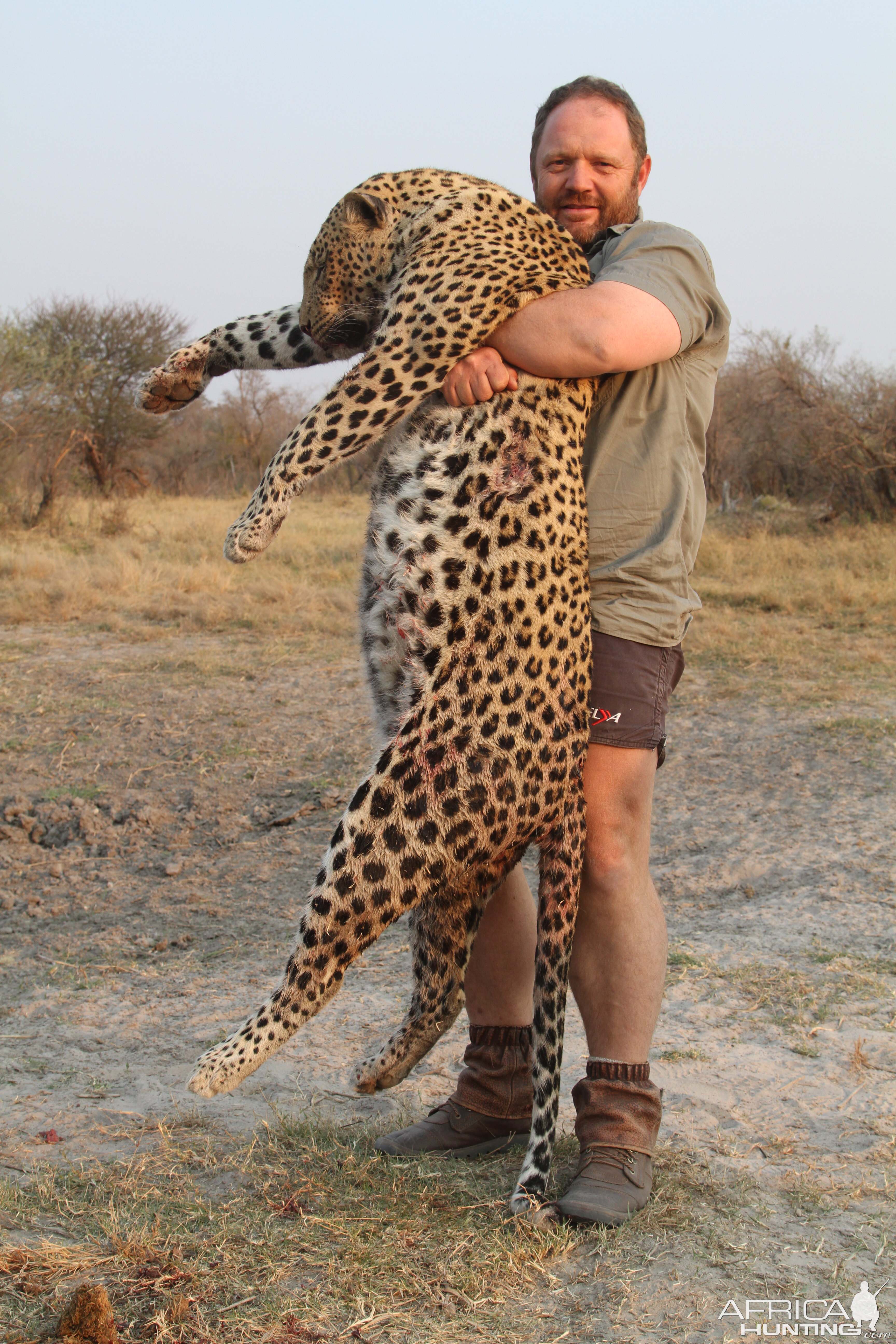 Namibia Hunting Leopard