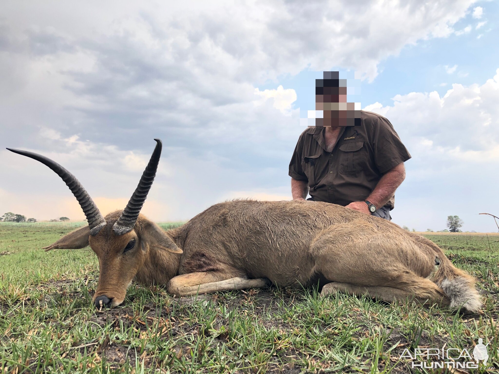 Namibia Hunting Reedbuck