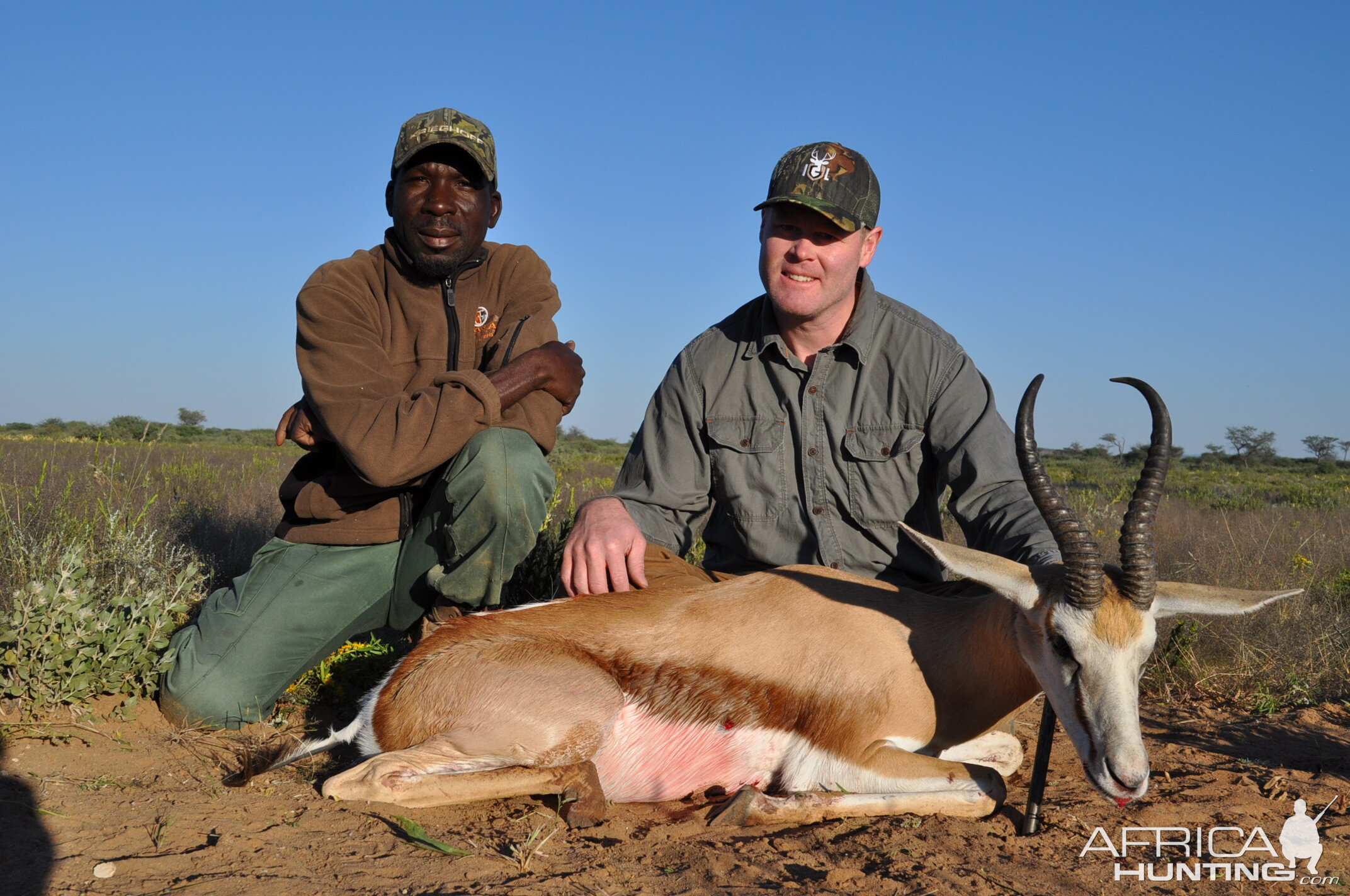 Namibia Hunting Springbok