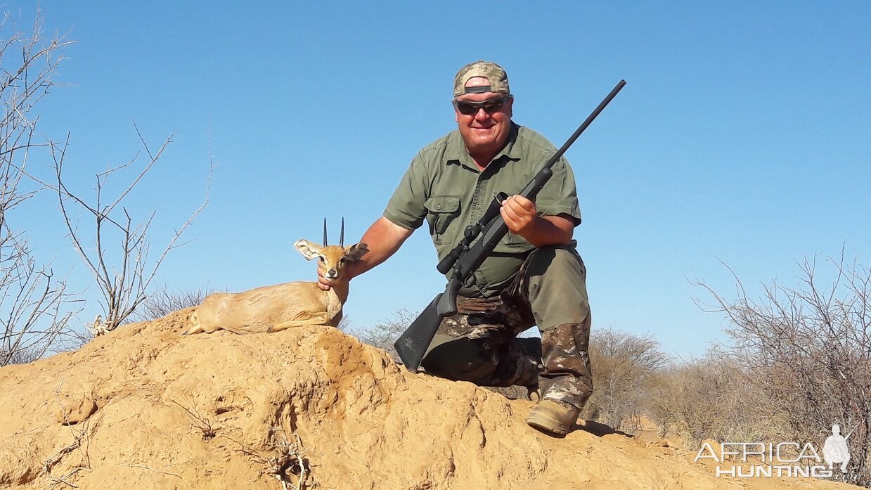 Namibia Hunting Steenbok