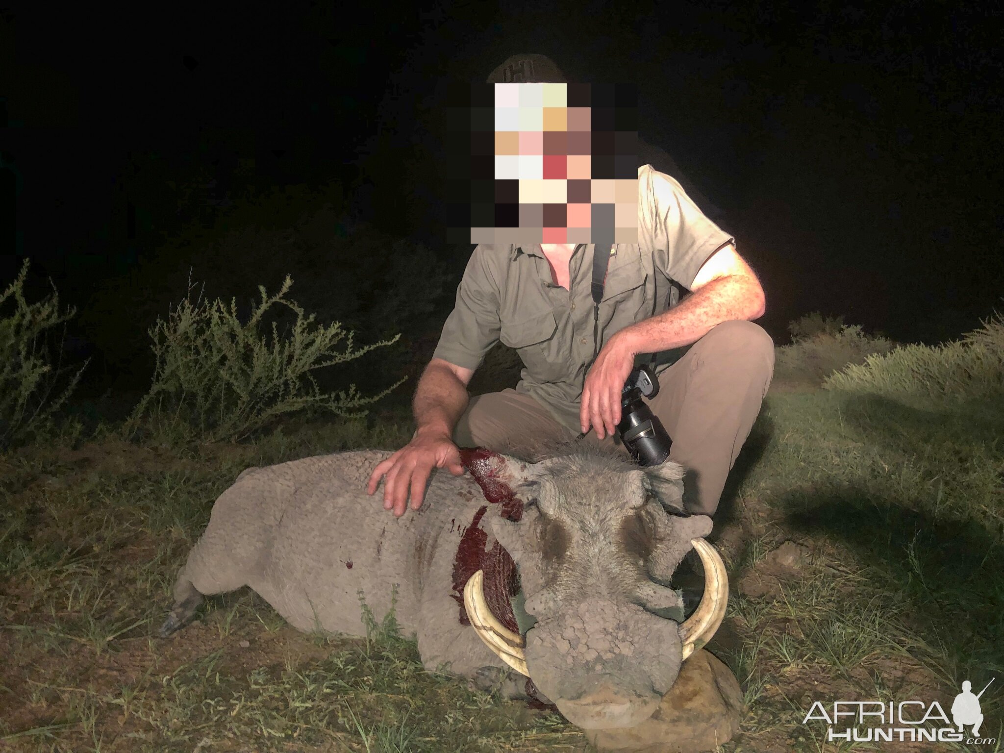 Namibia Hunting Warthog