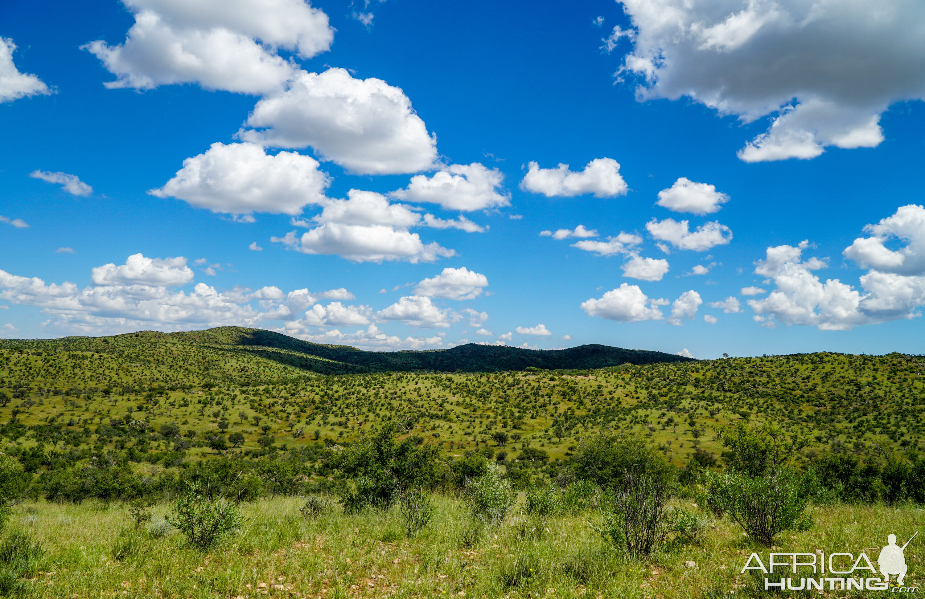 Namibia Landscape Nature