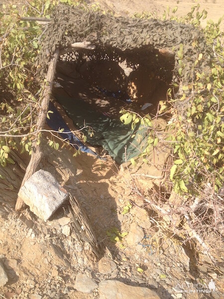 Namibia Leopard Hide