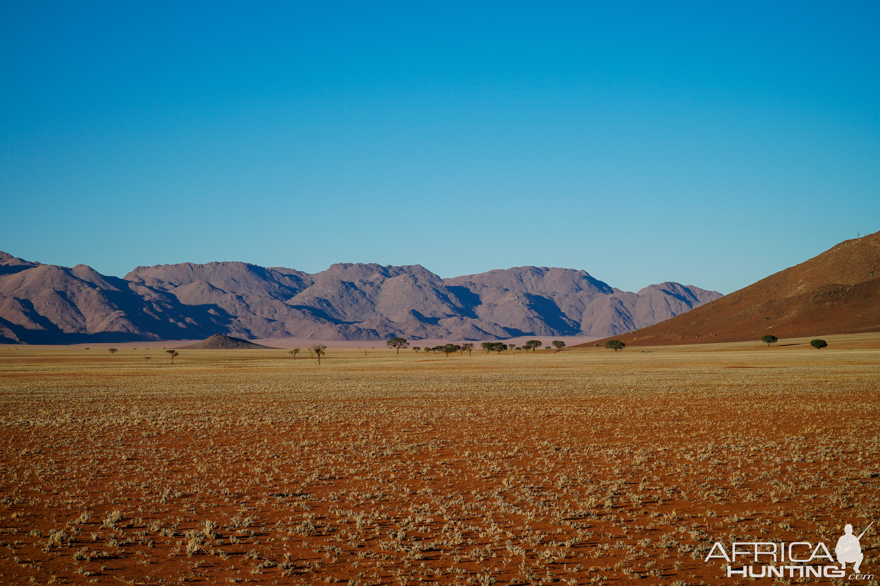 Namibia Nature Landscape