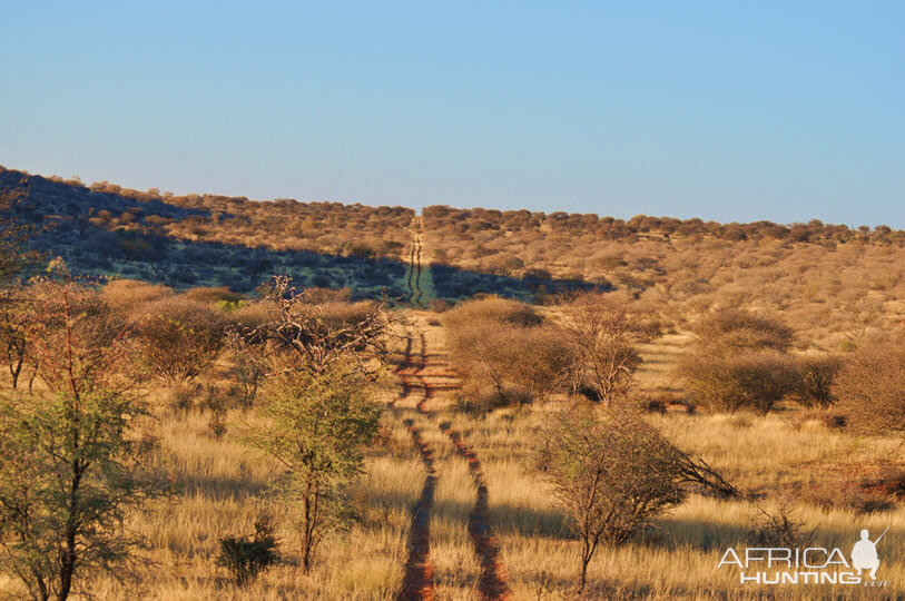 Namibia Nature