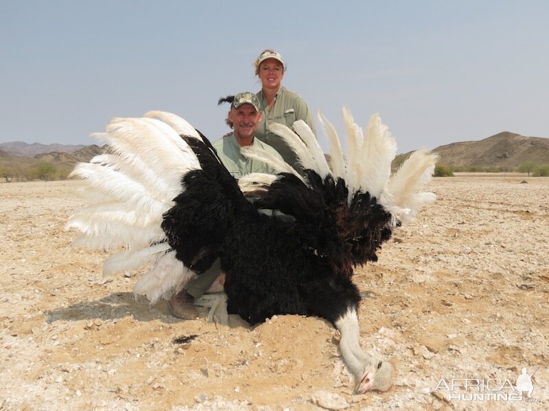 Namibia Ostrich Hunt